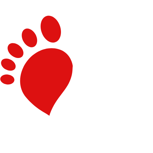 First Steps